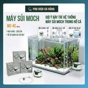 máy sủi oxy siêu êm MOCH