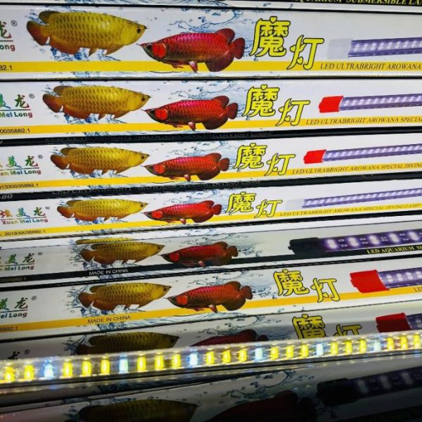 Đèn XML Vàng Pha Lê Thủy Tinh Dẹp 2 Hàng Bóng – Công Suất Cao, Cho Hồ Cá Quá Bối Tỏa Sáng