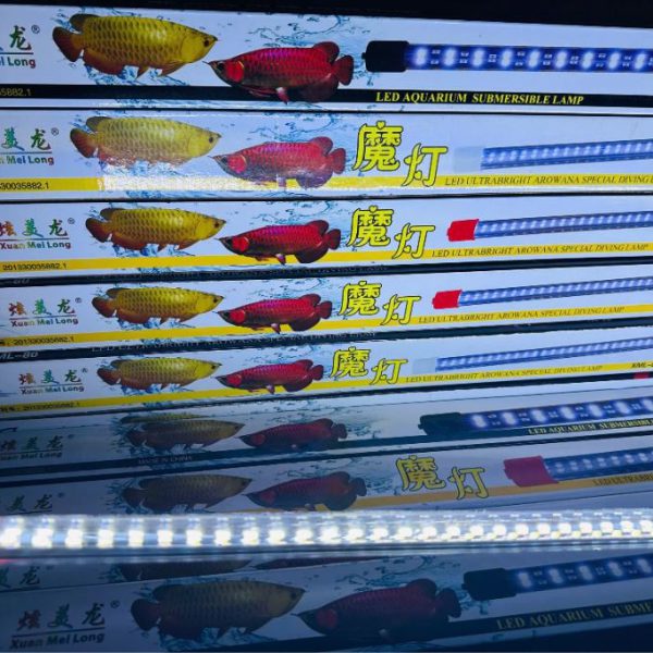 Đèn XML Màu Trắng – Pha Lê 2 Hàng Bóng Dẹp – Sự Lựa Chọn Sáng Giá Cho Huyết Long & Quá Bối