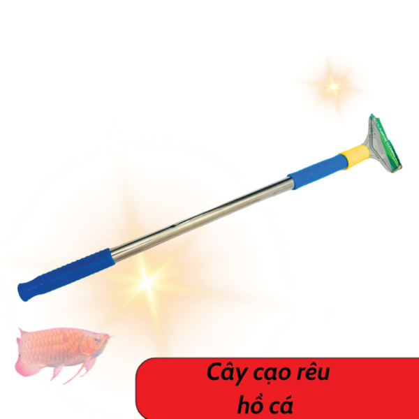 Cây Cạo Rêu Hồ Cá Cán To – Làm Sạch Rêu Mảng Bám Hiệu Quả, An Toàn Cho Kính