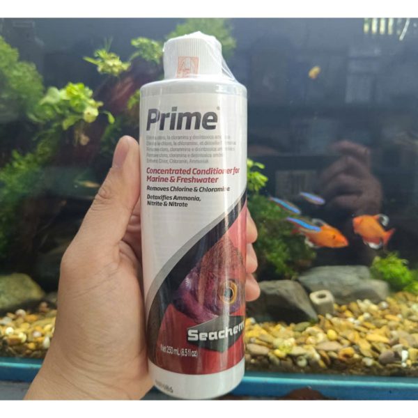 Vi Sinh Seachem Prime – Xử Lý Nước Cực Mạnh, An Toàn Cho Cá Cảnh | TEM SICAVI Chính Hãng
