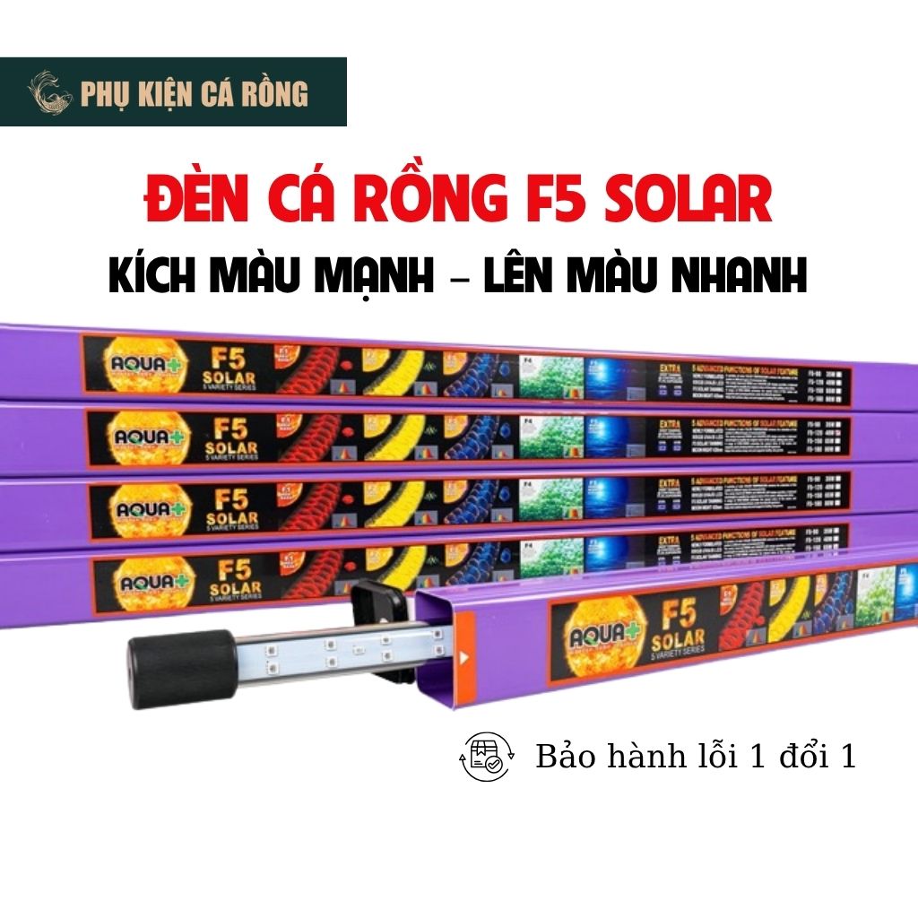 Đèn f5 solar lên màu đẹp